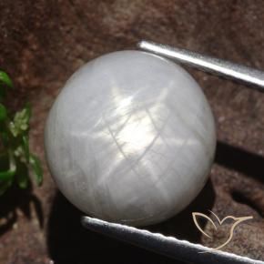 Zaffiro stellato Grigio molto chiaro naturale da 8.80 ct, Rotondo, Opaco