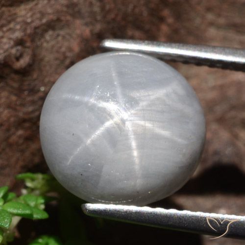 8.96ct Naturale Grigio medio Zaffiro stellato, Rotondo, Opaco