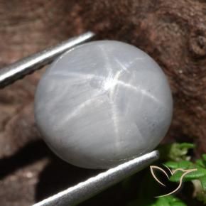 Zaffiro stellato Grigio medio naturale da 8.96 ct, Rotondo, Opaco