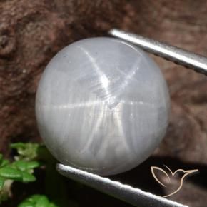 Zaffiro stellato Grigio medio naturale da 8.96 ct, Rotondo, Opaco