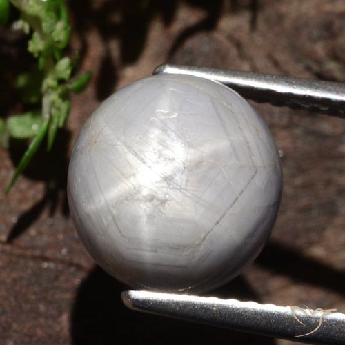 6.61ct Naturale Grigio medio-scuro Zaffiro stellato, Ovale, Opaco