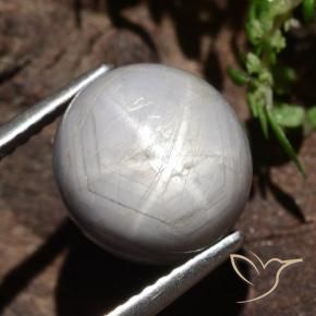 Zaffiro stellato Grigio medio-scuro naturale da 6.61 ct, Ovale, Opaco
