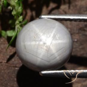 Zaffiro stellato Grigio medio-scuro naturale da 6.61 ct, Ovale, Opaco