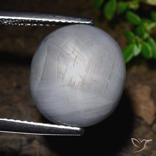 14.39ct Naturale Grigio bluastro Zaffiro stellato, Ovale, Opaco