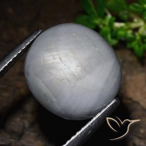 Zaffiro stellato Grigio bluastro naturale da 14.39 ct, Ovale, Opaco