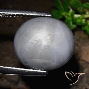 Zaffiro stellato Grigio bluastro naturale da 14.39 ct, Ovale, Opaco