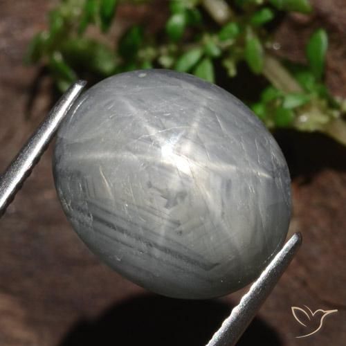 Zaffiro stellato Grigio medio naturale da 13.46 ct, Ovale, Opaco