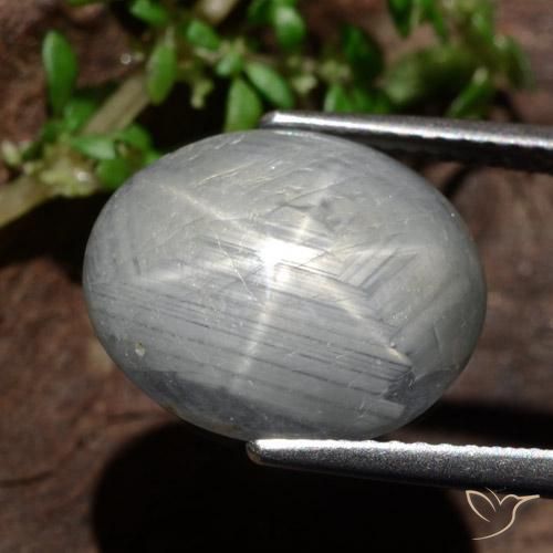 Zaffiro stellato Grigio medio naturale da 13.46 ct, Ovale, Opaco