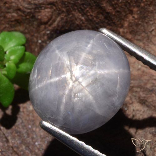 9.39ct Naturale Grigio chiaro Zaffiro stellato, Ovale, Opaco