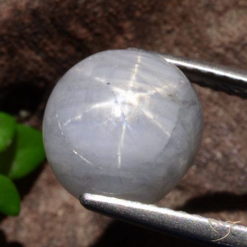 5.35ct Naturale Grigio chiaro Zaffiro stellato, Ovale, Opaco