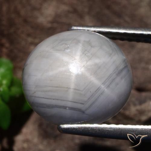 Zaffiro stellato Grigio chiaro naturale da 10.69 ct, Ovale, Opaco