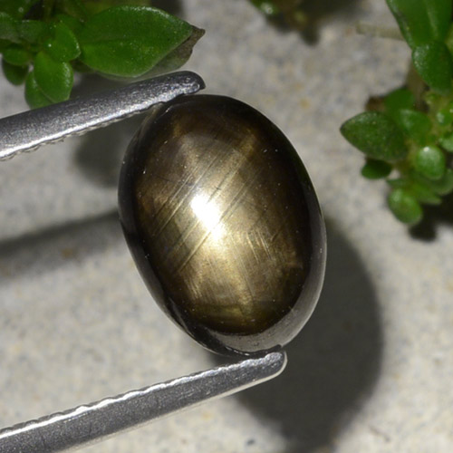 Zaffiro stellato naturale nero da 2,20 ct, taglio ovale, opaco