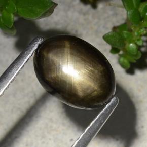 Zaffiro stellato naturale nero da 2,20 ct, taglio ovale, opaco