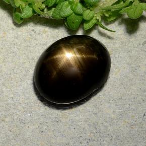 Zaffiro stellato Nero naturale da 2.31 ct, Taglio ovale, Opaco