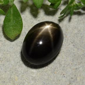 Zaffiro stellato naturale nero da 2,60 ct, taglio ovale, opaco
