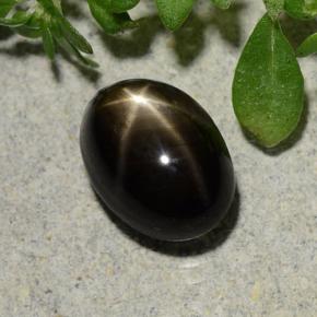 Zaffiro stellato naturale nero da 2,60 ct, taglio ovale, opaco