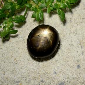 Zaffiro stellato naturale nero da 2,46 ct, taglio ovale, opaco
