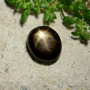 Zaffiro stellato naturale nero da 2,46 ct, taglio ovale, opaco