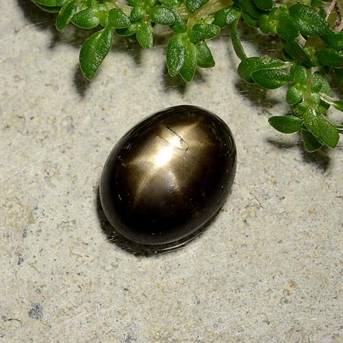 Zaffiro stellato naturale nero da 2,07 ct, taglio ovale, opaco