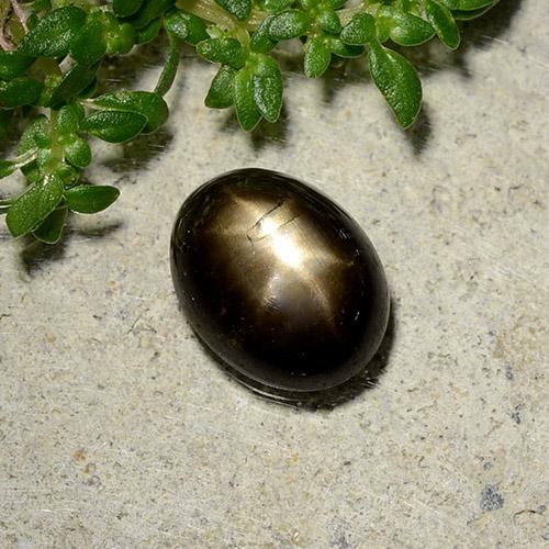 Zaffiro stellato naturale nero da 2,07 ct, taglio ovale, opaco