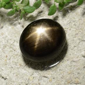 Zaffiro stellato naturale nero da 3,31 ct, taglio ovale, opaco