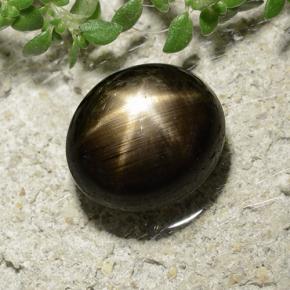 Zaffiro stellato naturale nero da 3,31 ct, taglio ovale, opaco