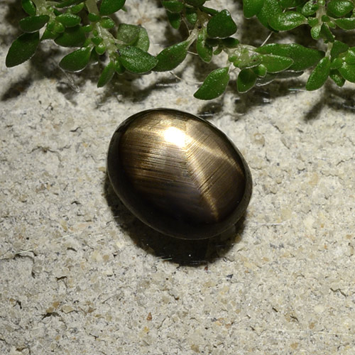 Zaffiro stellato naturale nero da 2,10 ct, taglio ovale, opaco