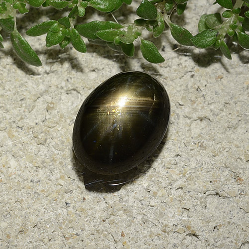 Zaffiro stellato naturale nero da 2,47 ct, taglio ovale, opaco