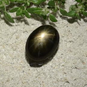 Zaffiro stellato naturale nero da 2,47 ct, taglio ovale, opaco