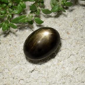 Zaffiro stellato Nero naturale da 2.41 ct, Taglio ovale, Opaco