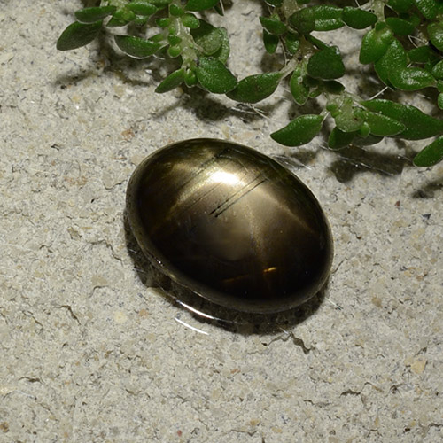Zaffiro stellato naturale nero da 2,09 ct, taglio ovale, opaco