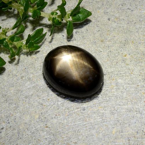 Zaffiro stellato naturale nero da 1,97 ct, taglio ovale, opaco