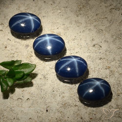 3.01ctw Naturale Blu scuro Zaffiro stellato, Ovale, Opaco