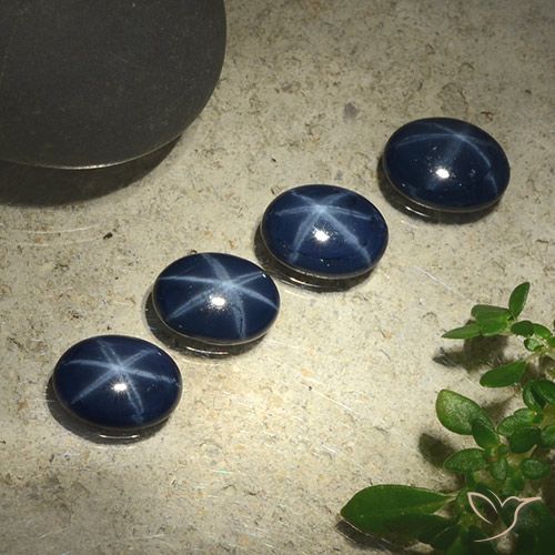 Gemme di Zaffiro stellato Blu scuro profondo naturale da 3.59 ct, Ovale, Opaco