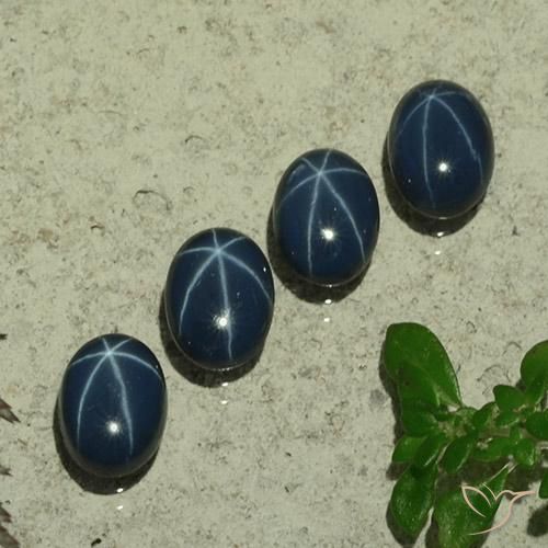 5.11ctw Naturale Blu scuro Zaffiro stellato, Ovale, Opaco