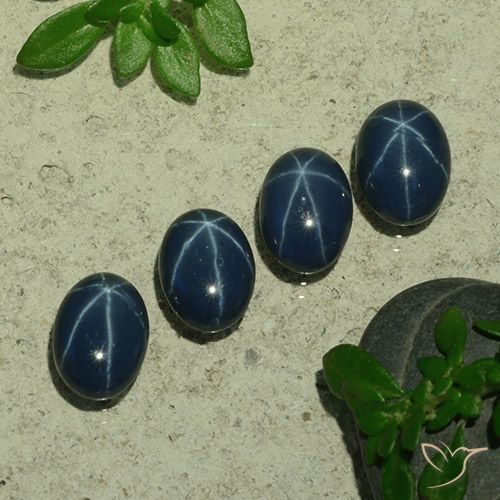 Gemme di Zaffiro stellato Blu scuro profondo naturale da 4.94 ct, Ovale, Opaco