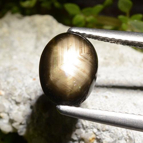 Zaffiro stellato naturale nero da 2,71 ct, taglio ovale, opaco