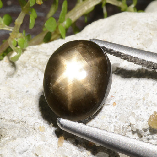 Zaffiro stellato Nero naturale da 2.78 ct, Taglio ovale, Opaco