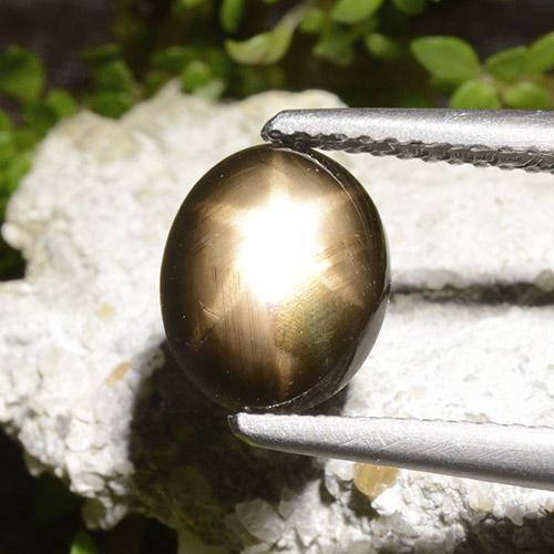 Zaffiro stellato naturale nero da 2,65 ct, taglio ovale, opaco