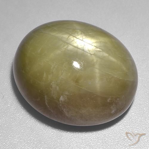 Zaffiro stellato Giallo dorato naturale da 54.80 ct, Ovale, Opaco