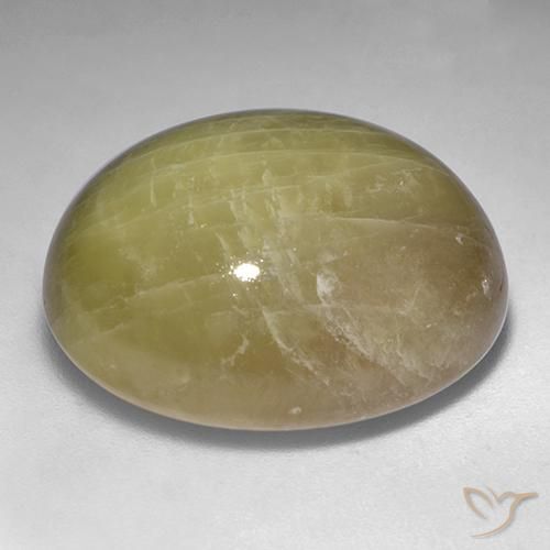 Zaffiro stellato Giallo dorato naturale da 54.80 ct, Ovale, Opaco