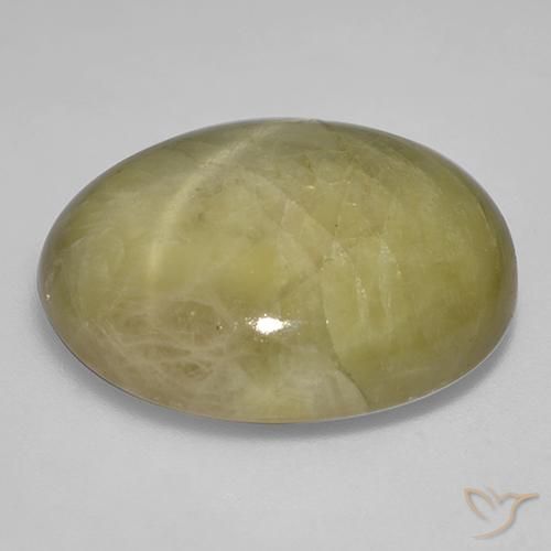 Zaffiro stellato Giallo dorato naturale da 46.06 ct, Ovale, Opaco