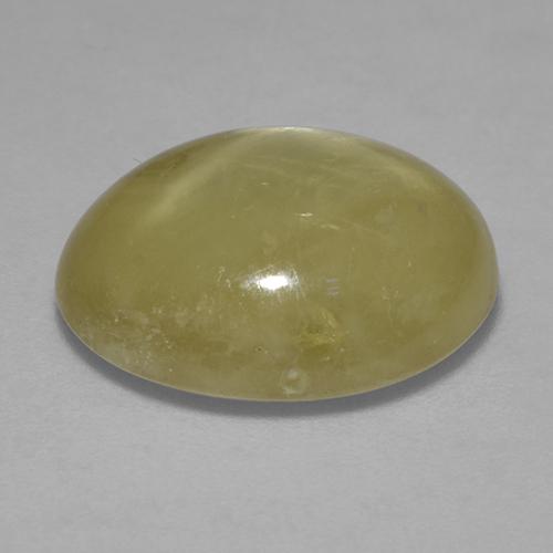 Zaffiro stellato Giallo dorato naturale da 12.41 ct, Taglio ovale, Opaco