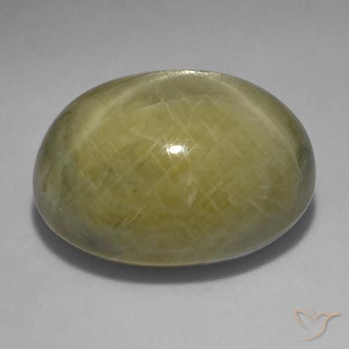 Zaffiro stellato Giallo terroso naturale da 45.27 ct, Ovale, Opaco