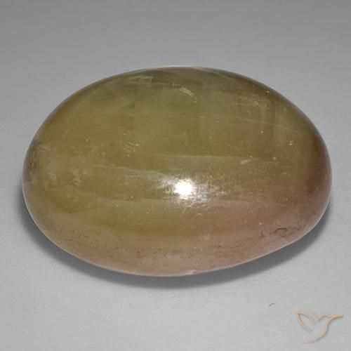 Zaffiro stellato Oro arancione naturale da 58.57 ct, Ovale, Opaco