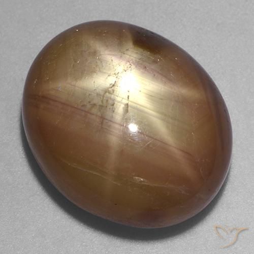 Zaffiro stellato Oro arancione naturale da 22.20 ct, Ovale, Opaco