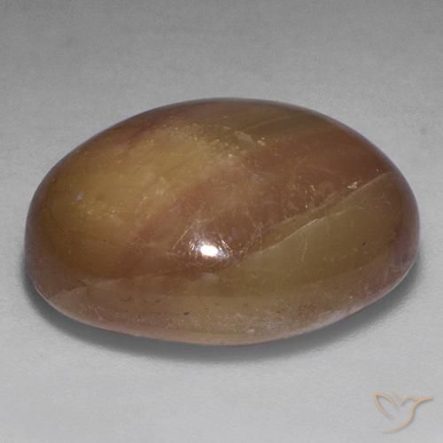 Zaffiro stellato Oro arancione naturale da 22.20 ct, Ovale, Opaco