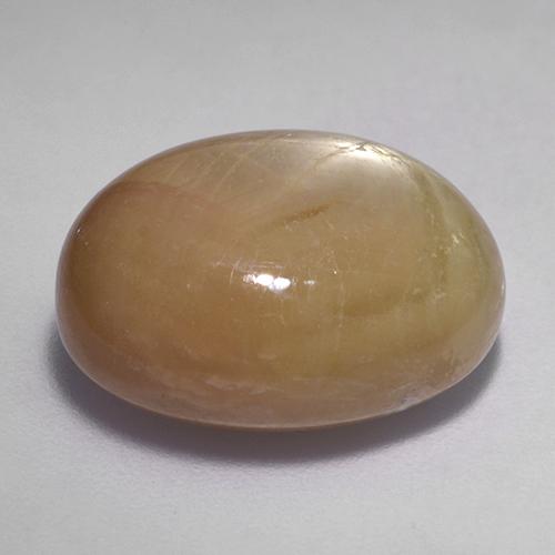 Zaffiro stellato oro arancione naturale da 19,61 ct, taglio ovale, opaco
