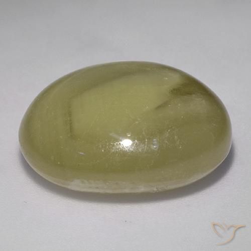 Zaffiro stellato Giallo medio naturale da 32.58 ct, Ovale, Opaco