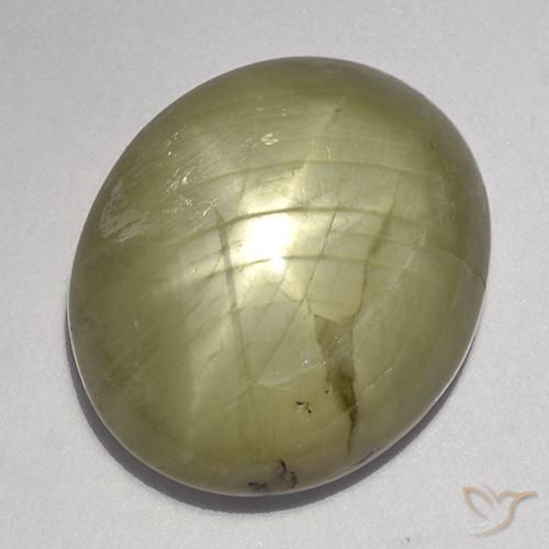 Zaffiro stellato Giallo neutro naturale da 23.11 ct, Ovale, Opaco